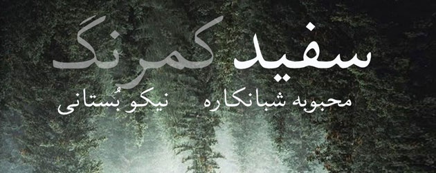 دانلود آهنگ محبوبه شبانکاره و نیکو بستانی سفید کمرنگ + متن آهنگ  ( کیفیت ۳۲۰ و پخش آنلاین ){