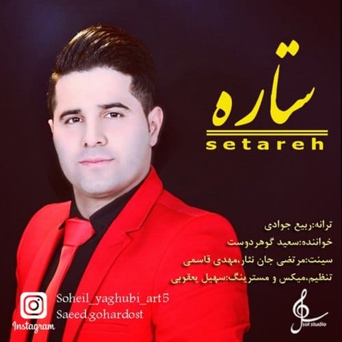 دانلود آهنگ جدید سعید گوهردوست به نام ستاره
