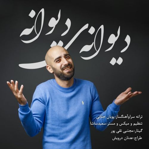 دانلود آهنگ پویان جناتی به نام دیوانه ی دیوانه