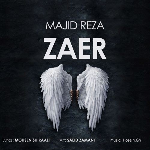 دانلود آهنگ مجید رضا به نام زائر