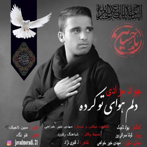 دانلود آهنگ جواد مرادی به نام دلم هوای تو کرده