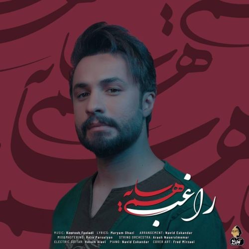 دانلود آهنگ راغب به نام هم سایه