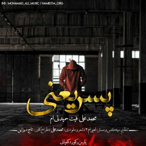 دانلود آهنگ جدید محمد علی و حمید تی ام به نام پسر یعنی