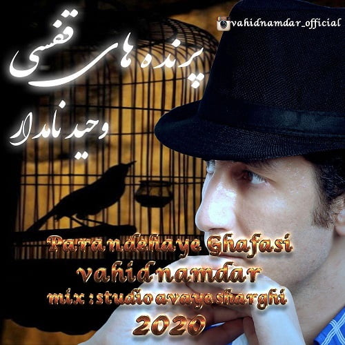 دانلود آهنگ جدید وحید نامدار به نام پرنده های قفسی