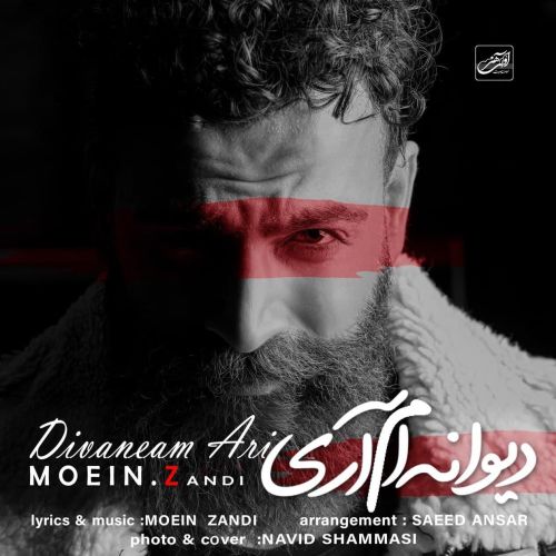 دانلود آهنگ معین زد به نام دیوانه‌ام آری
