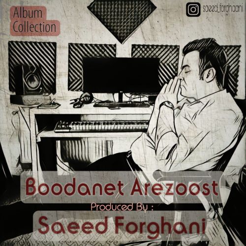 دانلود آهنگ سعید فرقانی به نام بودنت آرزوست