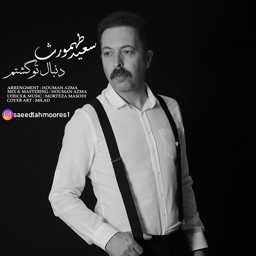 دانلود آهنگ سعید طهمورث به نام دنبال تو گشتم