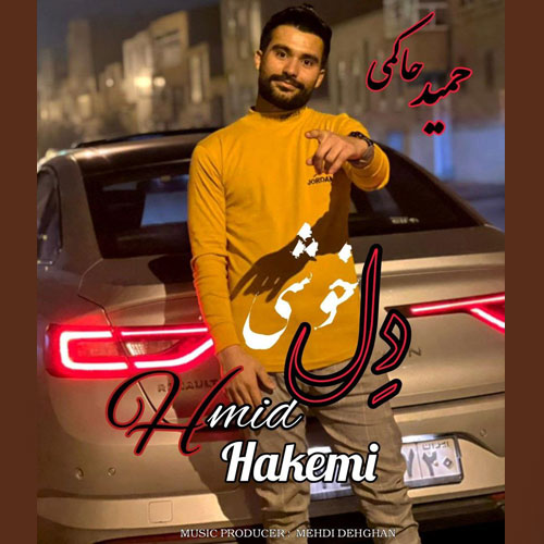 دانلود آهنگ حمید حاکمی به نام دل خوشی
