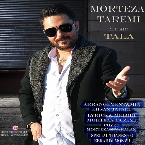 دانلود آهنگ مرتضی طارمی به نام طلا