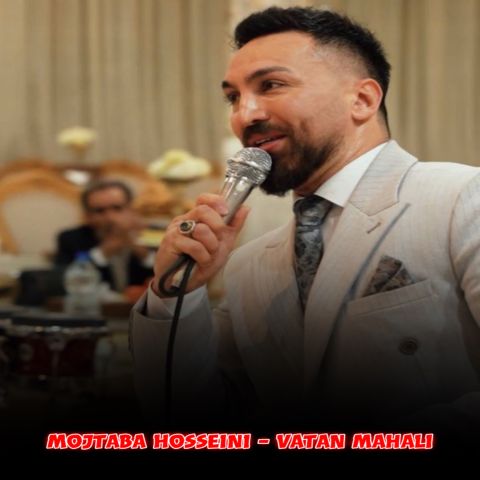 دانلود آهنگ مجتبی حسینی به نام محلی وطن