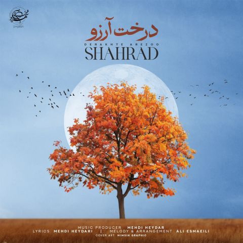 درخت آرزو